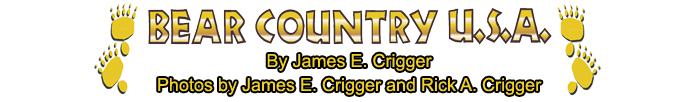 Bear Country USA Logo