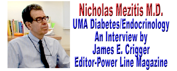 Nicholas Mezitis Logo Picture