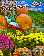 August/September 2015 Cover